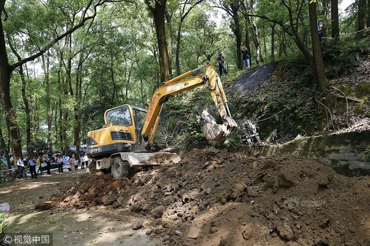 重庆植物园遭“圈地” 强制回填 第1页