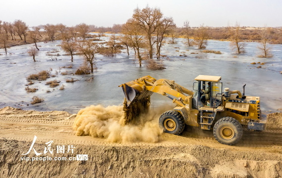 新疆尉犁:生态输水为荒漠植被“解渴” 第1页