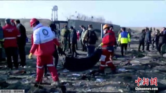乌克兰一客机在伊朗坠毁 机上成员全部丧生(2) 第2页