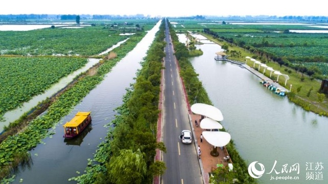 以“荷”为媒 第20届中国·金湖荷花节开幕(5) 第5页