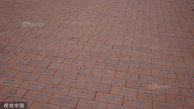 西安一高校用5000多块红砖铺就30米“实名制”校友路 第1页