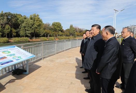 习近平察看滇池生态湿地(2) 第2页