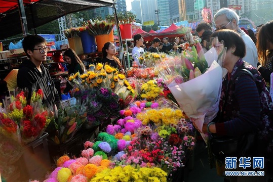 红红火火的香港年宵花市(2) 第2页