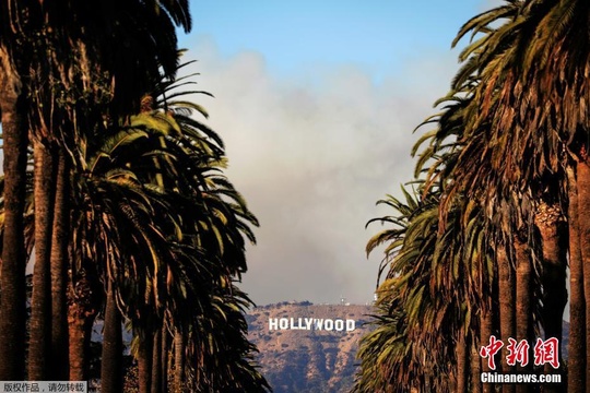 加州山火烧到了好莱坞 现场浓烟滚滚 第1页