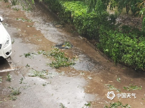 北京暴雨雷电大风齐发 天空阴云密布雨倾盆 第1页