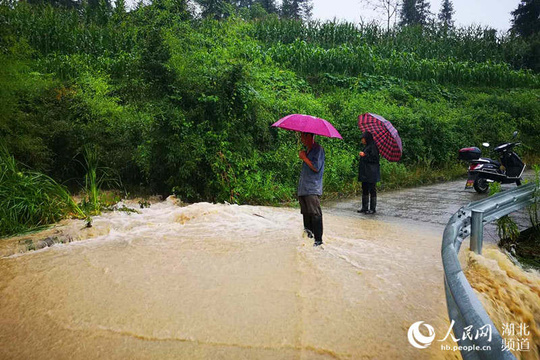 湖北恩施市:干部群众积极应对暴雨灾害(3) 第3页