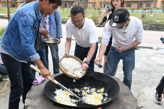 溯源高峰布e稻,探寻一粒米的成长(19) 第19页