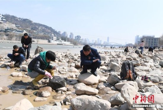 黄河河床裸露 民众扎堆蹲河滩找它(3) 第3页