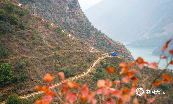 重庆奉节瞿塘:冬日游三峡 红叶醉满城(9) 第9页