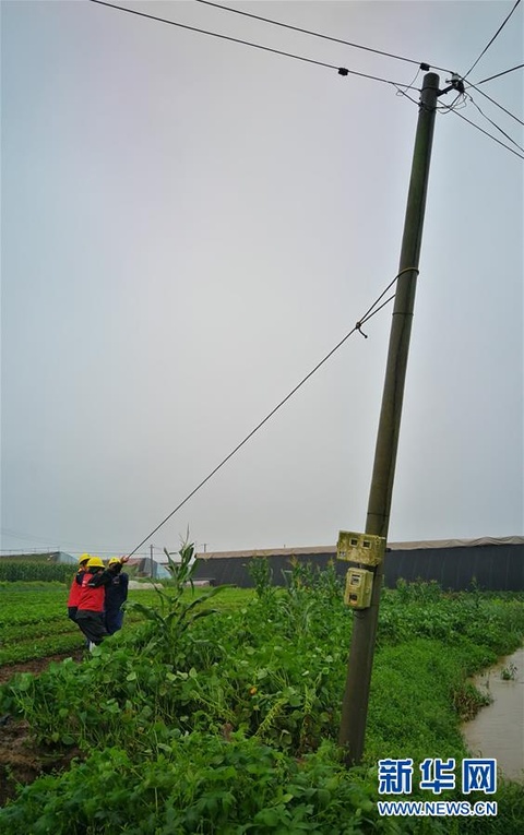 台风“巴威”将给东北地区带来强风雨(4) 第4页