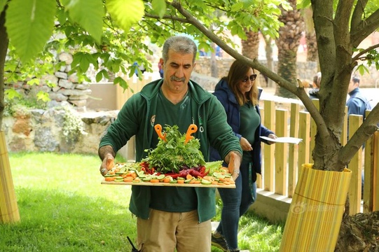 土耳其动物园乌龟庆祝99岁生日 享用蔬菜蛋糕胃口棒棒哒(5) 第5页