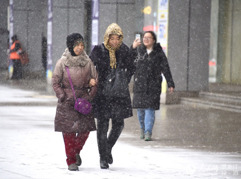 哈尔滨市迎来立冬后首场降雪 跟随镜头感受北国冰雪风光(3) 第3页