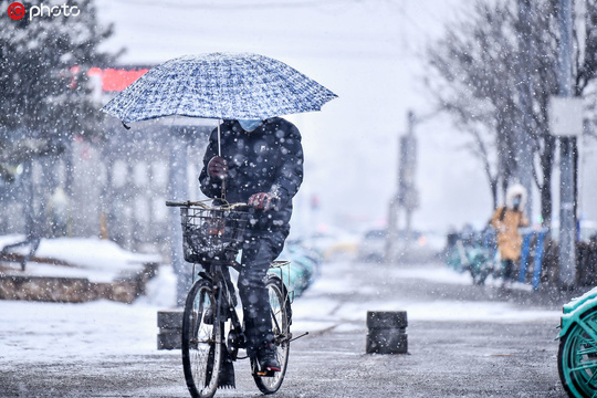 沈阳普降春雪(5) 第5页