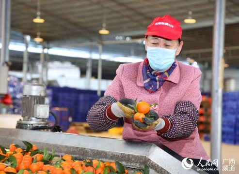 瑶乡金秀60吨爱心果驰援湖北(3) 第3页