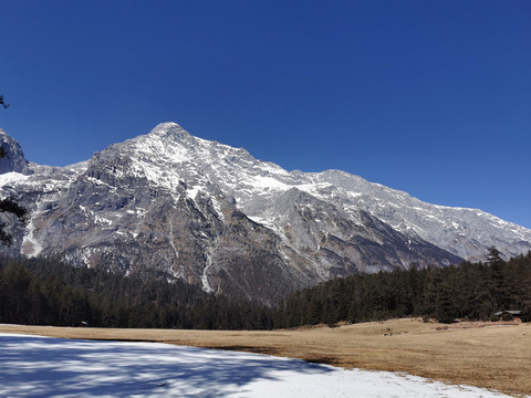 高清:云南丽江古城、玉龙雪山恢复接待游客(11) 第11页