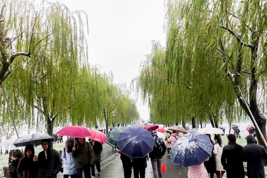 杭州降雪 西湖断桥又现“人山人海”(4) 第4页