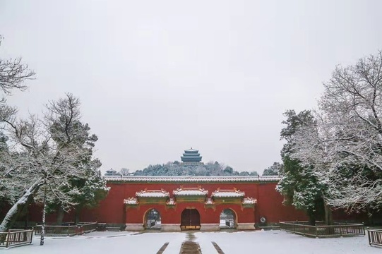 北京30万游客雪后公园打卡(2) 第2页