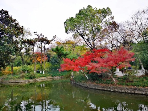 江川枫景似丹霞 这张打卡地图请收好(5) 第5页