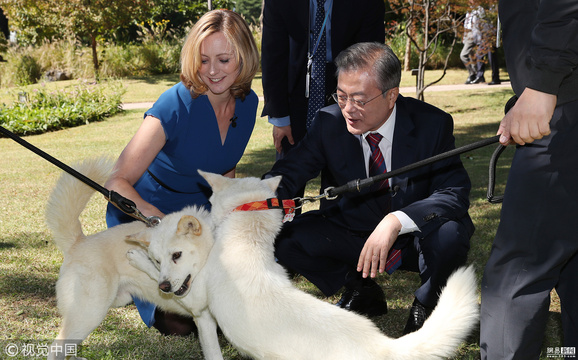 文在寅接受BBC采访 朝鲜所赠丰山犬入镜 第1页