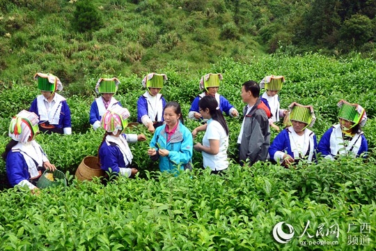 平桂“土瑶村”上演一场指尖上的“舞林争霸”赛(2) 第2页