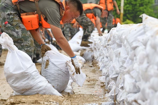 安徽淮南:抢筑子堤迎战淮河洪峰(5) 第5页