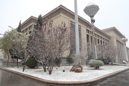 初雪来了!国际庄迎今冬第一场雪(7) 第7页