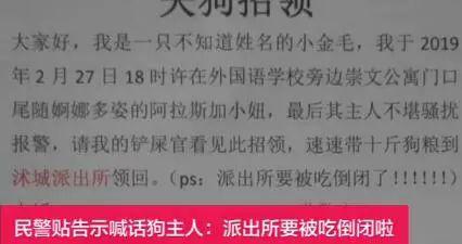 走丢金毛被送派出所 沭阳民警被整崩溃(4) 第4页