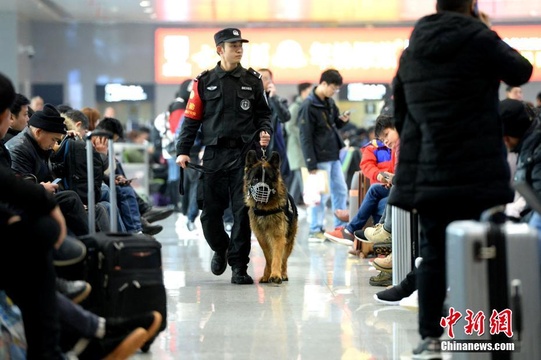 警犬“神威”的春运时刻(5) 第5页