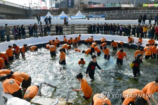 寒冬穿短袖在冰河徒手抓鱼 韩国华山山川鱼庆典还能这样玩【组图】(6) 第6页