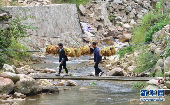 苗山脱贫影像志——乌英苗寨迎来秋收季(3) 第3页