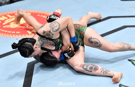 UFC格斗之夜:伯恩森VS霍兰德精彩集锦(25) 第25页