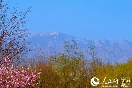 宁夏贺兰山春日雪景引观赏【组图】(3) 第3页