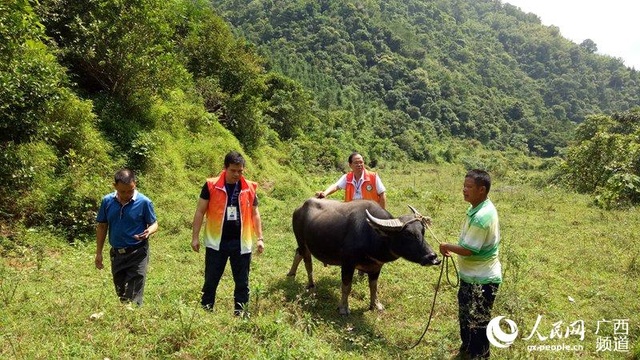 广西博白“一户一策”安置未脱贫劳动力转移就业(3) 第3页