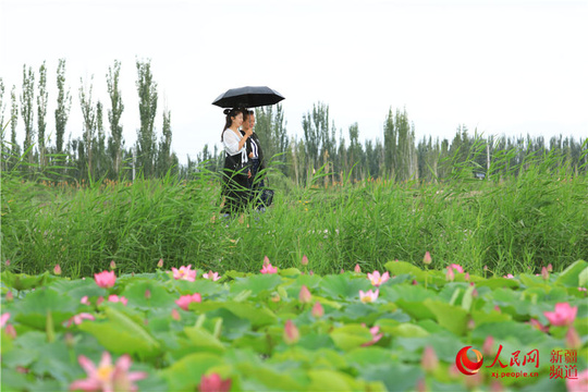 新疆昭苏草原:天马浴河(组图)(9) 第9页