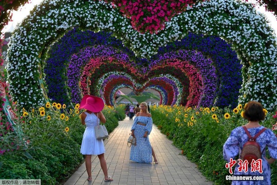 迪拜“奇迹花园”开放 百万种植物打造各异雕塑(4) 第4页