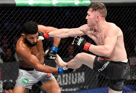 UFC243精彩集锦 阿迪萨亚一统中量级冠军(13) 第13页