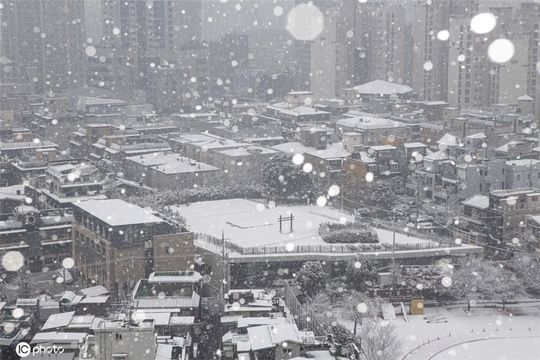 韩国首尔降大雪 全城银装素裹白茫茫 第1页
