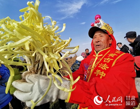 甘肃兰州:开镰迎丰收(4) 第4页