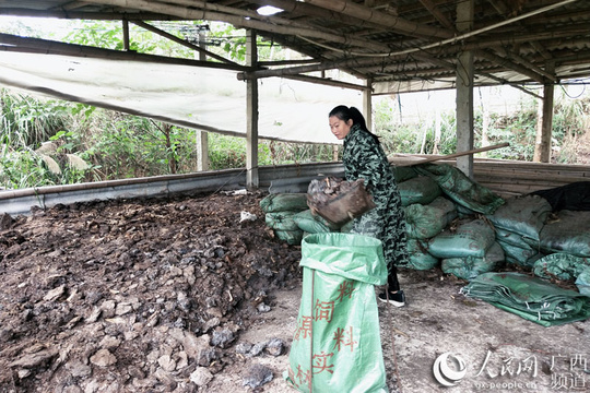 鹿寨:发挥“头雁”效应 带领“群雁”脱贫致富(5) 第5页