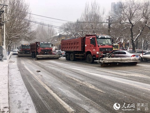 哈尔滨飘落2020年首场降雪 雪后降温(5) 第5页