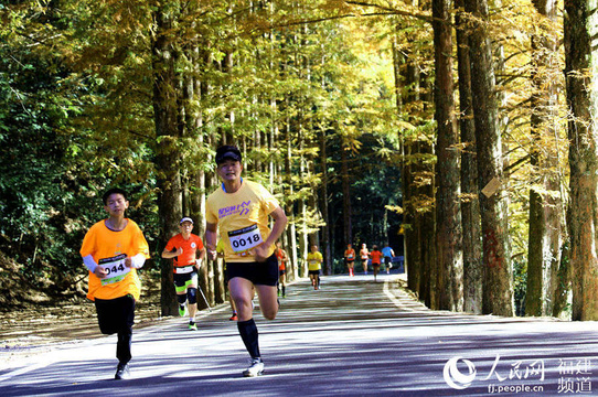 福建将乐:越野运动爱好者齐聚 龙栖山山径赛开跑 第1页