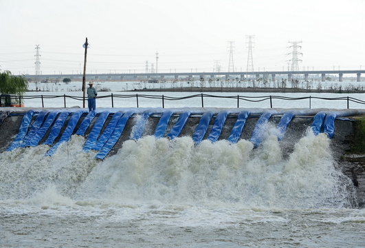 安徽:十八联圩生态湿地蓄洪区开机排涝(3) 第3页
