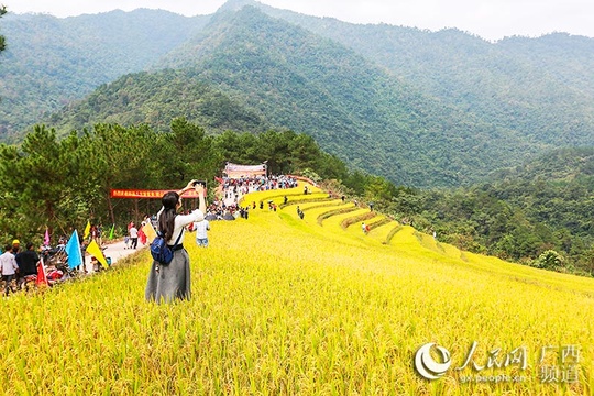 广西上思:百马梯田美如画 瑶寨人民笑开颜(10) 第10页