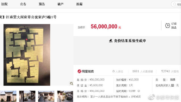 杭州别墅拍卖超5万人围观 无人出价(6) 第6页