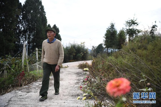 湘西芙蓉镇的“网红爷爷”(9) 第9页