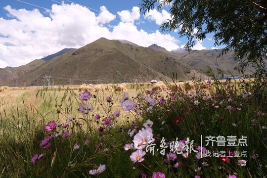 纳木错路边的风景 忍不住让人停下脚步 第1页