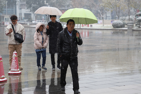 初雪来了!国际庄迎今冬第一场雪(8) 第8页