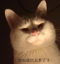 235991e8504d013da63a54154cb0c8b5