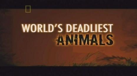 国家地理世界致命动物系列