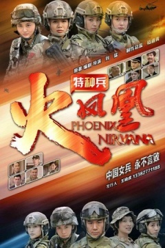 我是特种兵之火凤凰DVD版